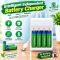 Intelligent Independent Battery Charger – Product Description