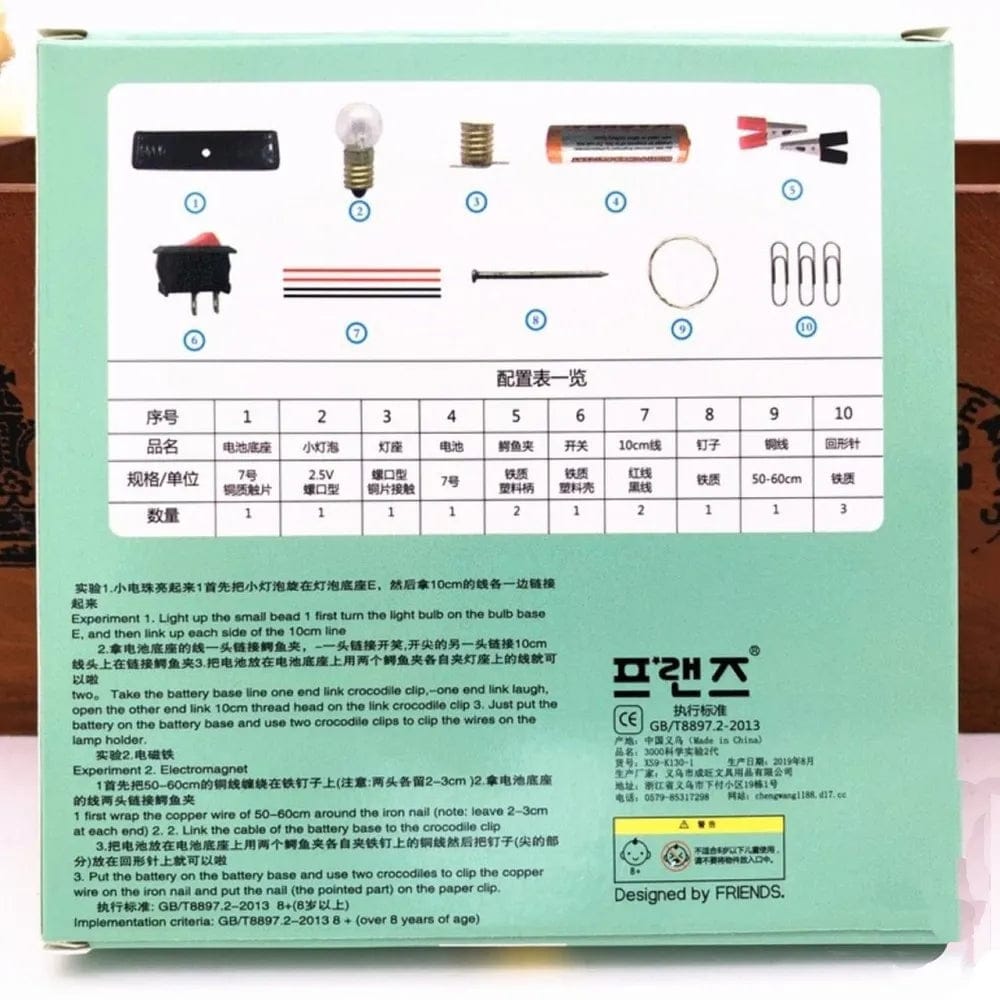 DIY Electrical Circuit Kit for Kids – STEM Learning Toy - DAILY DEALS