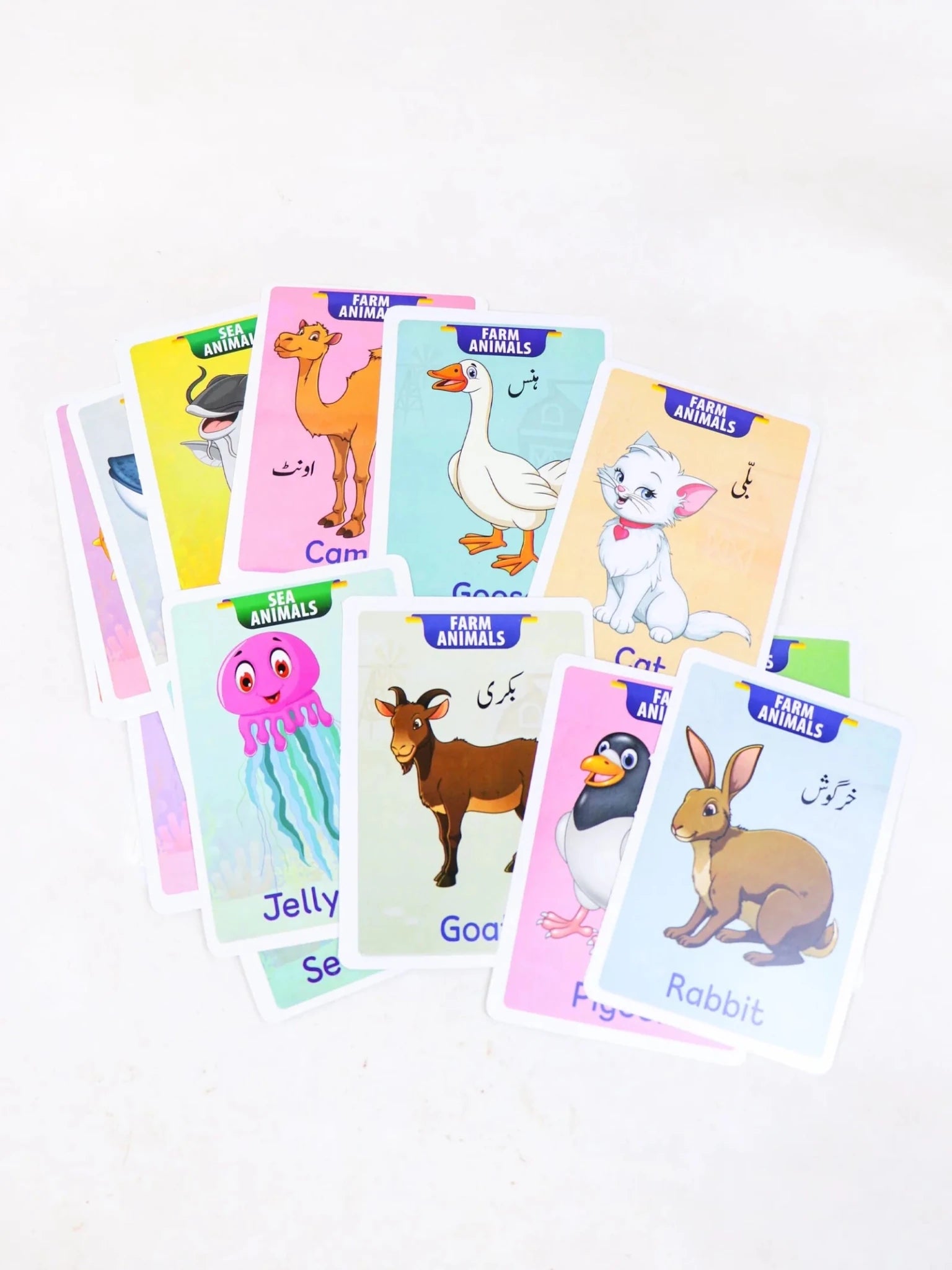 Domestic & Sea Animals Jumbo Flash Cards for Kids - DAILY DEALS
