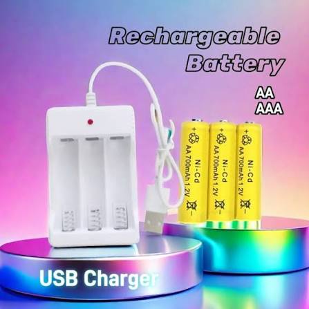 Intelligent Independent Battery Charger – Product Description